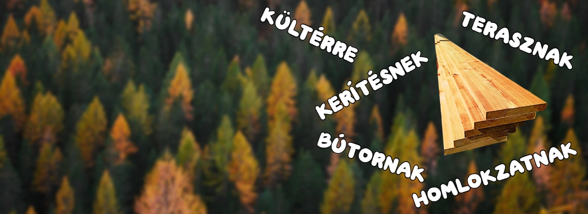 Vörösfenyő
